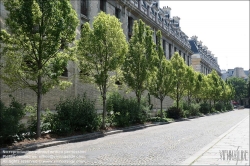 Viennaslide-05314034 Paris, Rue de Sully, Baumreihe // Paris, Rue de Sully, new planted Trees