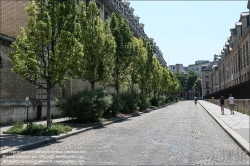 Viennaslide-05314035 Paris, Rue de Sully, Baumreihe // Paris, Rue de Sully, new planted Trees