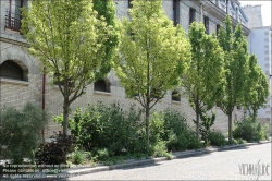 Viennaslide-05314038 Paris, Rue de Sully, Baumreihe // Paris, Rue de Sully, new planted Trees