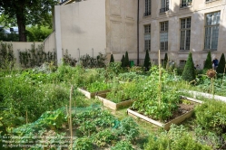 Viennaslide-05314556 Paris, Marais, Jardin des Rosiers, Urban Gardening