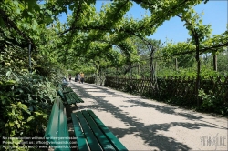 Viennaslide-05317010 Paris, Jardin Catherine-Labouré // Paris, Jardin Catherine-Labouré