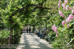 Viennaslide-05317012 Paris, Jardin Catherine-Labouré // Paris, Jardin Catherine-Labouré