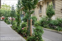 Viennaslide-05319066 Paris, Rue Pierre Haret, Straenbegrnung // Paris, Rue Pierre Haret, Greening 