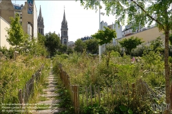 Viennaslide-05321134 Paris, Parc Saint-Ambroise, Jardin Truillot // Paris, Parc Saint-Ambroise, Jardin Truillot