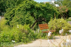 Viennaslide-05321138 Paris, Parc Saint-Ambroise, Jardin Truillot // Paris, Parc Saint-Ambroise, Jardin Truillot