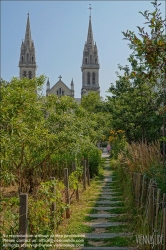 Viennaslide-05321139 Paris, Parc Saint-Ambroise, Jardin Truillot // Paris, Parc Saint-Ambroise, Jardin Truillot