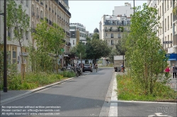 Viennaslide-05322038 Paris, Rue de Charenton, Straßenbegrünung // Paris, Rue de Charenton, Street Greenery