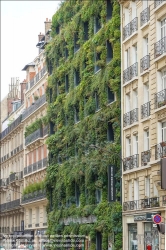 Viennaslide-05326014 Paris, Avenue Paul Doumer, 'La Grand Epicerie de Paris', begrünte Fassade // Paris, Avenue Paul Doumer, 'La Grand Epicerie de Paris', Green Facade