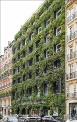 Viennaslide-05326015 Paris, Avenue Paul Doumer, 'La Grand Epicerie de Paris', begrünte Fassade // Paris, Avenue Paul Doumer, 'La Grand Epicerie de Paris', Green Facade