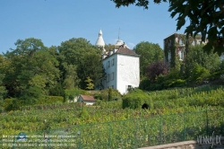 Viennaslide-05328164 Paris, Montmartre, Weinberg - Paris, Montmartre, Wineyard