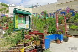 Viennaslide-05330001 Paris, Cite Aubry, Urban Gardening