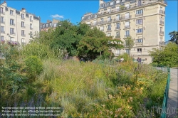 Viennaslide-05330072 Paris, Square du Docteur-Jacques-Joseph-Grancher, Kräuterbeet // Paris, Square du Docteur-Jacques-Joseph-Grancher, Herbs