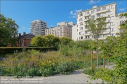 Viennaslide-05330073 Paris, Square du Docteur-Jacques-Joseph-Grancher, Kräuterbeet // Paris, Square du Docteur-Jacques-Joseph-Grancher, Herbs