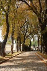 Viennaslide-05331224 Paris, Friedhof Pere-Lachaise, Allee