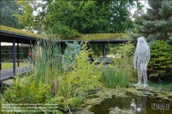 Viennaslide-05337985 Vincennes bei Paris, Parc Floral, Skulptur von Daniela Capaccioli // Vincennes near Paris, Parc Floral, Sculpture by Daniela Capaccioli