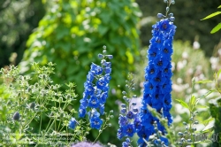 Viennaslide-05338204 Der Jardin des Plantes ist ein Botanischer Garten in Paris mit einer Fläche von 23,5 ha. Er liegt im Südosten der Stadt, am südlichen Ufer der Seine im 5. Arrondissement zwischen der Pariser Moschee und der wissenschaftlichen Fakultät „Jussieu“.