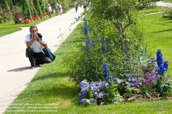 Viennaslide-05338214 Der Jardin des Plantes ist ein Botanischer Garten in Paris mit einer Fläche von 23,5 ha. Er liegt im Südosten der Stadt, am südlichen Ufer der Seine im 5. Arrondissement zwischen der Pariser Moschee und der wissenschaftlichen Fakultät „Jussieu“.