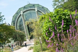 Viennaslide-05338217 Der Jardin des Plantes ist ein Botanischer Garten in Paris mit einer Fläche von 23,5 ha. Er liegt im Südosten der Stadt, am südlichen Ufer der Seine im 5. Arrondissement zwischen der Pariser Moschee und der wissenschaftlichen Fakultät „Jussieu“.