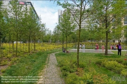 Viennaslide-05364077 Paris, Place de Catalogne, Mikrowald, Stadtwald // Paris, Place de Catalogne, Tiny Forest