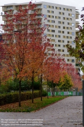 Viennaslide-05367114 Paris, Stadtentwicklungsgebiet Clichy-Batignolles, Parc Martin Luther-King