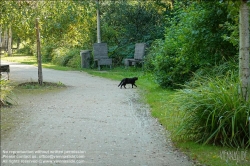 Viennaslide-05368155 Paris-Billancourt, Parc de Billancourt