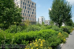 Viennaslide-05369701 Paris, Stadtentwicklungsgebiet Rive Gauche,  Jardin des Grands Moulins - Paris, City Development Project Rive Gauche,  Jardin des Grands Moulins