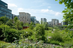 Viennaslide-05369730 Paris, Stadtentwicklungsgebiet Rive Gauche,  Jardin des Grands Moulins - Paris, City Development Project Rive Gauche,  Jardin des Grands Moulins