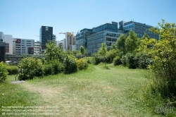 Viennaslide-05369733 Paris, Stadtentwicklungsgebiet Rive Gauche,  Jardin des Grands Moulins - Paris, City Development Project Rive Gauche,  Jardin des Grands Moulins