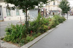 Viennaslide-05380102 Paris, Rue Blanche, Straßenbegrünung // Paris, Rue Blanche, Greening