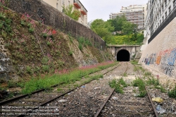 Viennaslide-05387022 Der Chemin de Fer de Petite Ceinture (Kleine Ringbahn) war eine 32 Kilometer lange, Paris umrundende Eisenbahnstrecke, die ab 1852 die in der Stadt gelegenen Endbahnhöfe miteinander verband. Sie verlief innerhalb der Stadtgrenze weitgehend entlang der Thiersschen Stadtbefestigung, einer Mitte des 19. Jahrhunderts errichteten Verteidigungsanlage, da sie auch militärischen Zwecken dienen sollte. Seit 1934 großenteils stillgelegt, sind ihre reichlich verbliebenen Gleise und Bahnhöfe seit Jahrzehnten Gegenstand von Debatten über Bebauung oder Bewahrung.