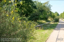 Viennaslide-05387926 Paris, Petite Ceinture