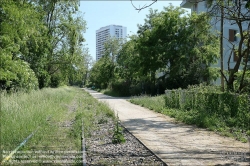 Viennaslide-05387942 Paris, Petite Ceinture // Paris, Petite Ceinture