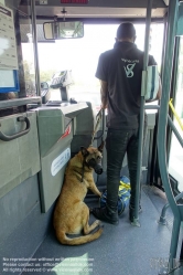 Viennaslide-05390028 Security in einem Nahverkehrsbus in der Umgebung von Paris - Security Officer in a Public Bus near Paris