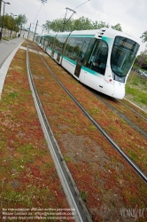 Viennaslide-05392200 Paris, Tramway T2, Grüngleis (Kräutergleis)