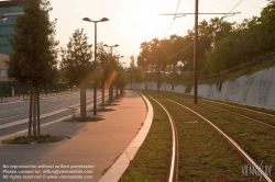 Viennaslide-05392221 Paris, Straßenbahn, Kräuter als Bepflanzung von Straßenbahngleisen - Paris, Tramway, Herbs as Plantation between Tramway Tracks