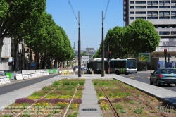 Viennaslide-05393235 Paris, moderne Tramway T3, Testpflanzung - Paris, Modern Tramway T3, Plantation Test