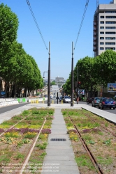 Viennaslide-05393236 Paris, moderne Tramway T3, Testpflanzung - Paris, Modern Tramway T3, Plantation Test