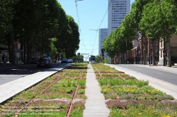 Viennaslide-05393238 Paris, moderne Tramway T3, Testpflanzung - Paris, Modern Tramway T3, Plantation Test