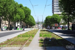 Viennaslide-05393239 Paris, moderne Tramway T3, Testpflanzung - Paris, Modern Tramway T3, Plantation Test