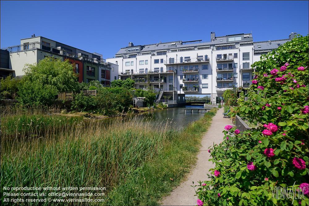 Viennaslide 06192114 jpg