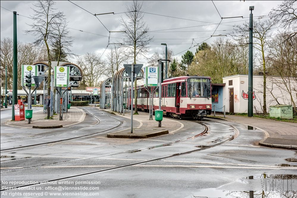 Viennaslide 06449603f jpg