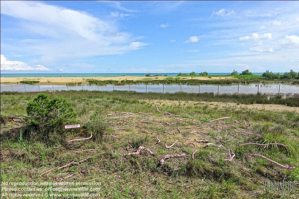 Viennaslide 06629063 jpg