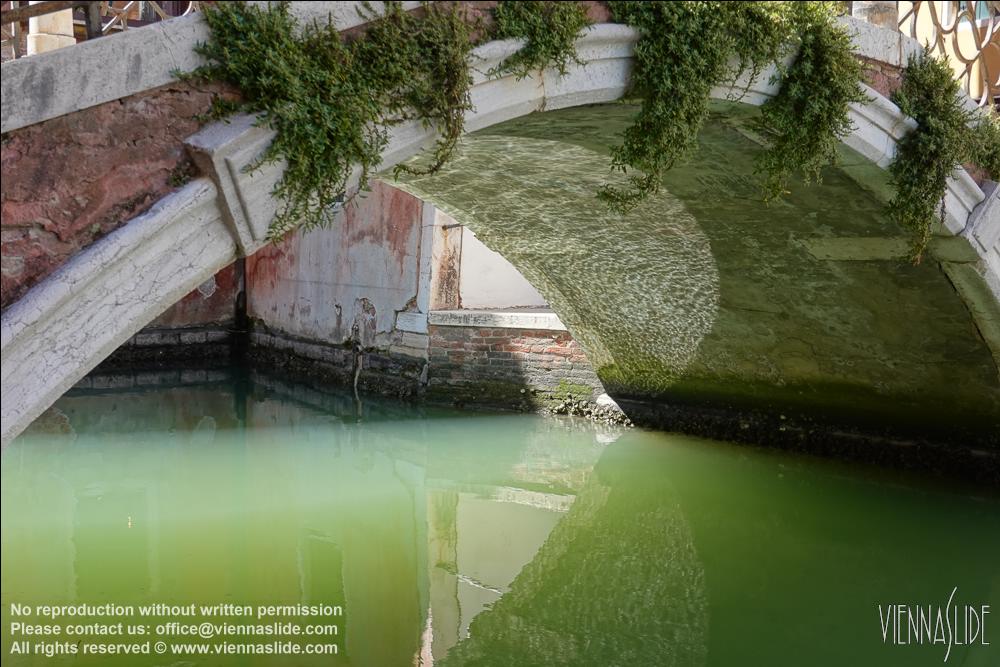 Viennaslide 06810051 jpg