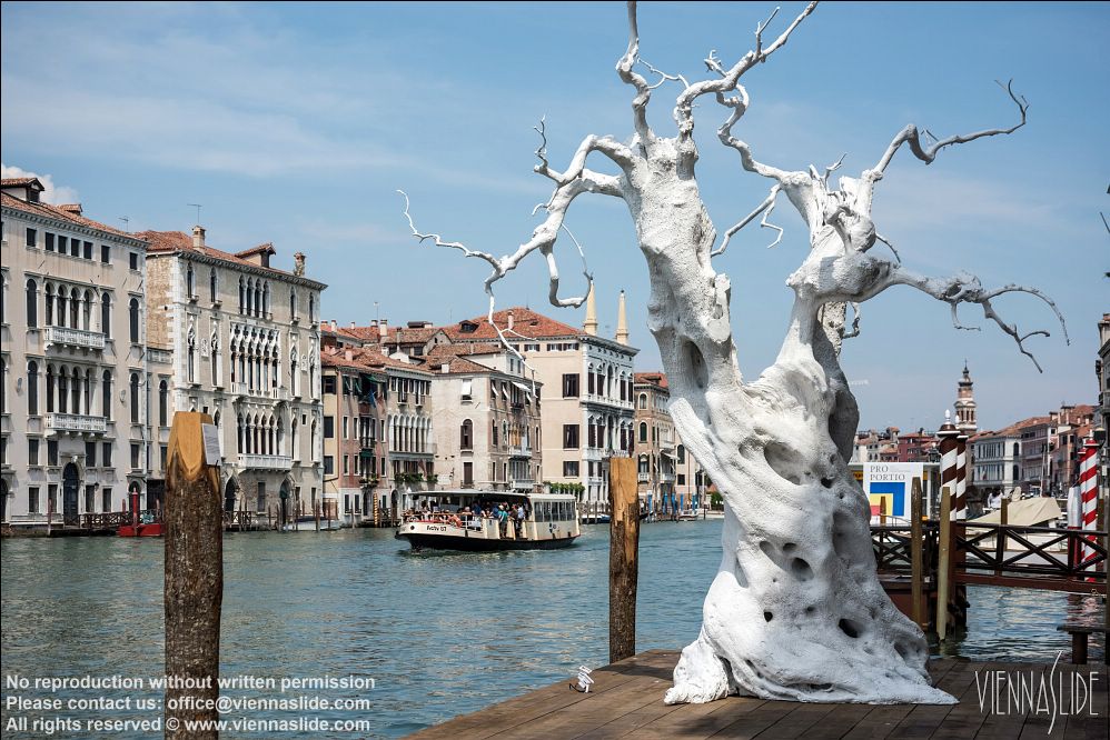 Viennaslide 06871519 jpg