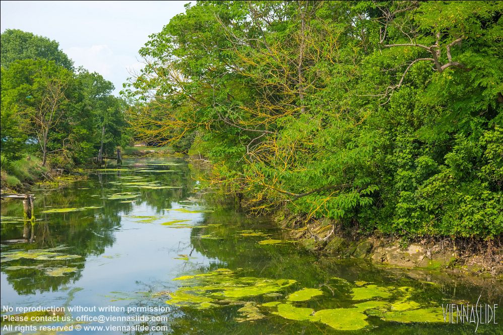 Viennaslide 06883111 jpg