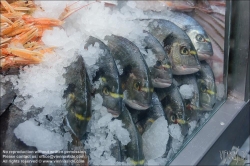 Viennaslide-06210059 Kopenhagen Markthalle TorvehallerneKBH. frischer Fisch // Copenhagen, Market TorvehallerneKBH, fresh Fish