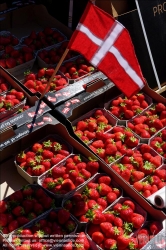 Viennaslide-06210061 Kopenhagen Markthalle TorvehallerneKBH, Erdbeeren // Copenhagen, Market TorvehallerneKBH, Strawberries