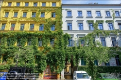 Viennaslide-06300009 Berlin, begrünte Fassade an einem Wohnhaus im Kollwitzkiez