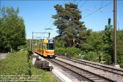 Viennaslide-06521803 Basel, Straßenbahn BLT (Baselland Transport), nahe Haltestelle Stallen