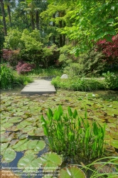 Viennaslide-06611148 Gardasee, Botanischer Garten Gardone Riviera von Andre Heller // Lago di Garda, Botanic Garden in Gardone Riviera by Andre Heller